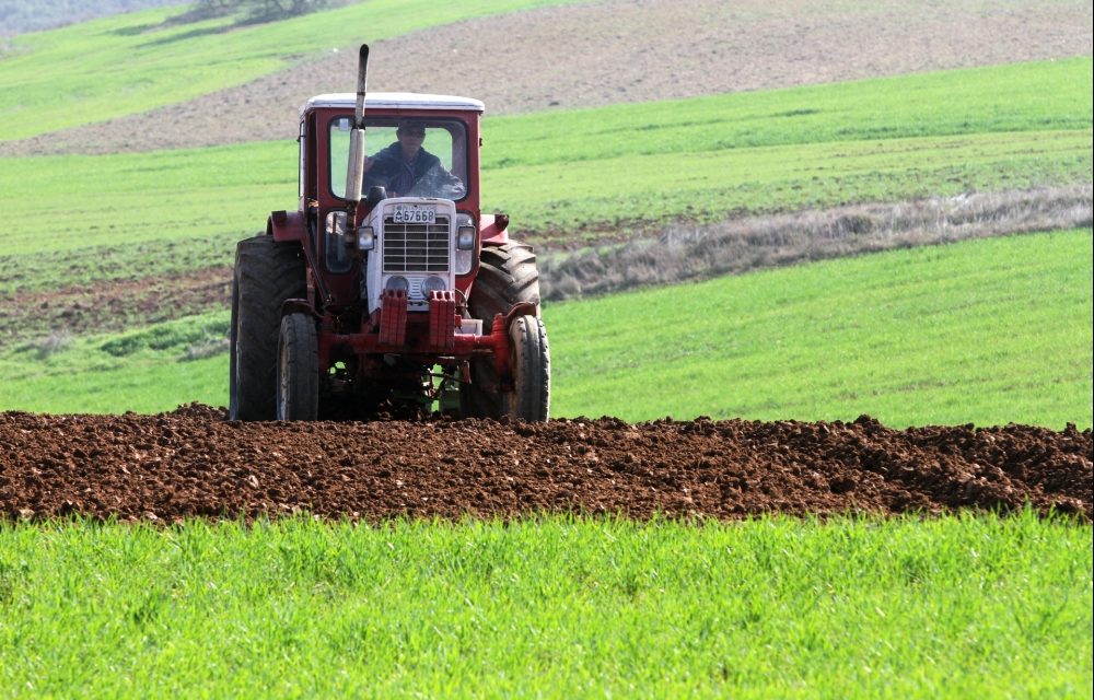 Bauernverband sieht im Klimaschutz weiterhin höchste Priorität