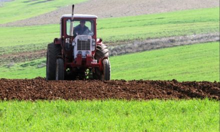 Öko-Landwirtschaft wächst auf nahezu 10,0 Prozent von der Anbaufläche