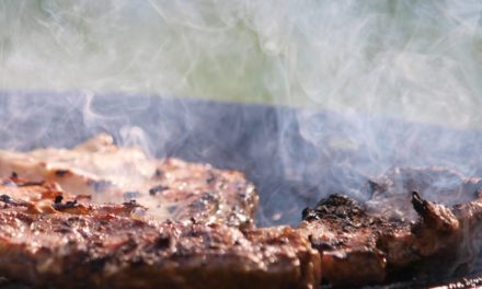 Landwirtschaftsministerin von Niedersachsen fordert eine grundsätzliche Wende bei der Fleischproduktion