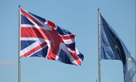 FDP für die Verhandlungen beim EU-Datenschutz mit Großbritannien