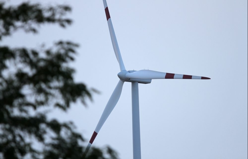 Die Grünen kritisieren die Pläne von Peter Altmaier für die Ausschreibung der Windparks