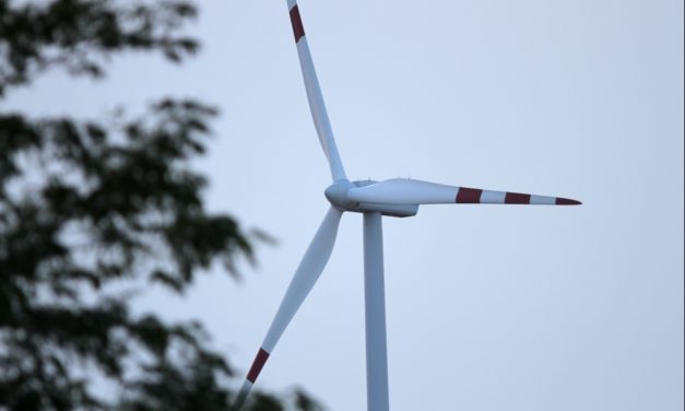 Die Grünen kritisieren die Pläne von Peter Altmaier für die Ausschreibung der Windparks