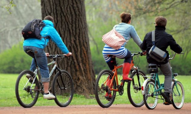 Der Verkauf von Fahrrädern und Outdoorartikeln boomt