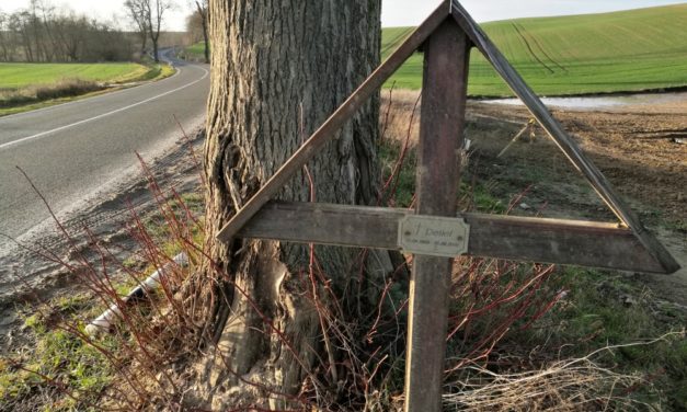 Zahl der Verkehrsunfälle sinkt in Coronamonaten