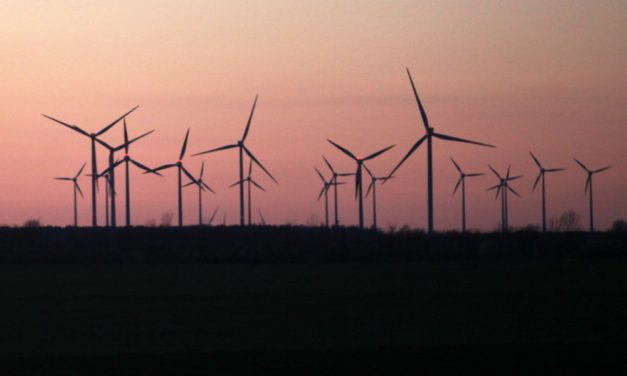 Niedersächsischer Umweltminister für verstärkten Ausbau der Windkraft