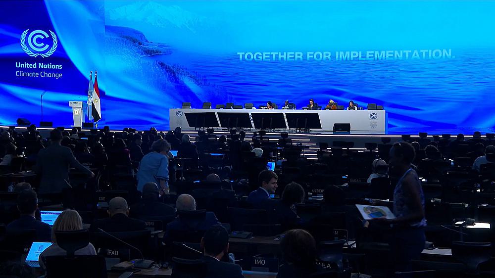 Die Fraktionen der Ampel haben zur Weltklimakonferenz eine gemischte Bilanz gezogen