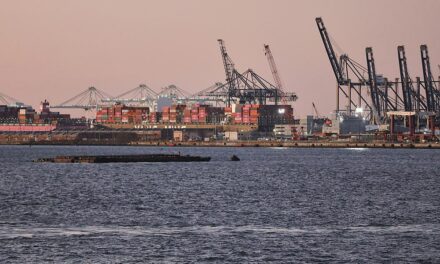 Ifo-Institut: Wechselseitige Zölle kaum problematisch für deutsche US-Exporte