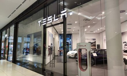 Schadenfreude bei Linkspartei wegen Teslas Gewinneinbruch