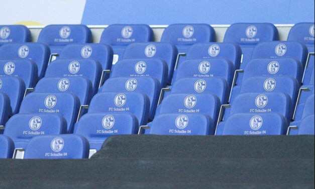 Neuer Trainer bei Schalke wird Miron Muslic