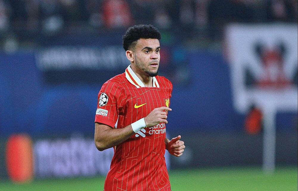 FC Bayern holt Luis Diaz an Bord