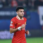 FC Bayern holt Luis Diaz an Bord