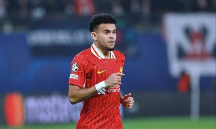 FC Bayern holt Luis Diaz an Bord