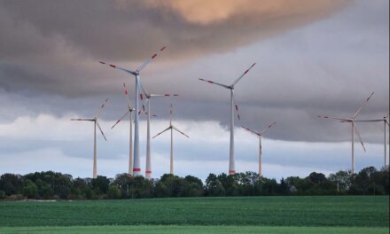Warnung des Ifo-Instituts an Reiche: Gefahr für Energiewende droht