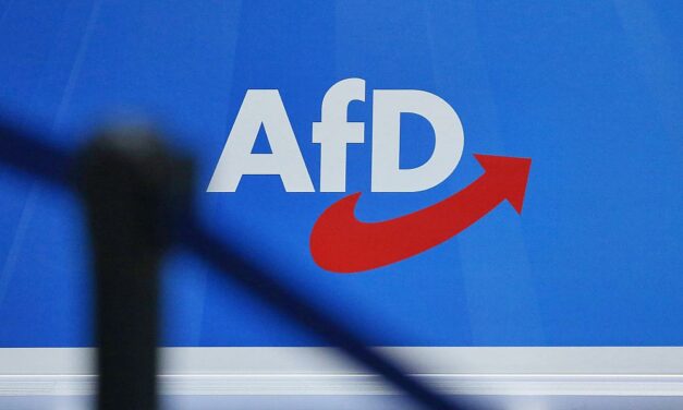 Verfassungsschutz stuft Brandenburger AfD als rechtsextremen Verdachtsfall ein