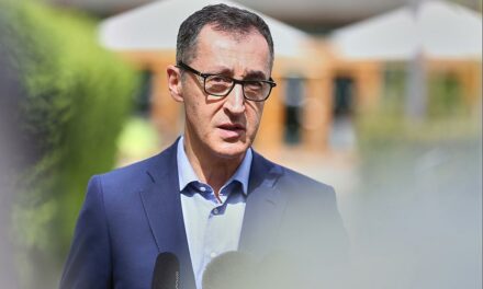 Özdemir warnt Grüne vor einem Linksdrift