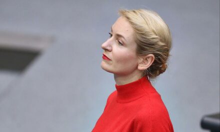 Ines Schwerdtner lobt teilweisen Stopp deutscher Waffenexporte nach Israel