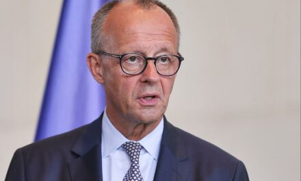 Beim Alaska-Gipfel fordert Merz Waffenstillstand von Putin in der Ukraine