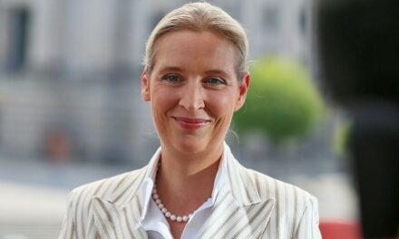 Forsa-Umfrage: AfD weiterhin vorn, CDU/CSU und Linke legen zu