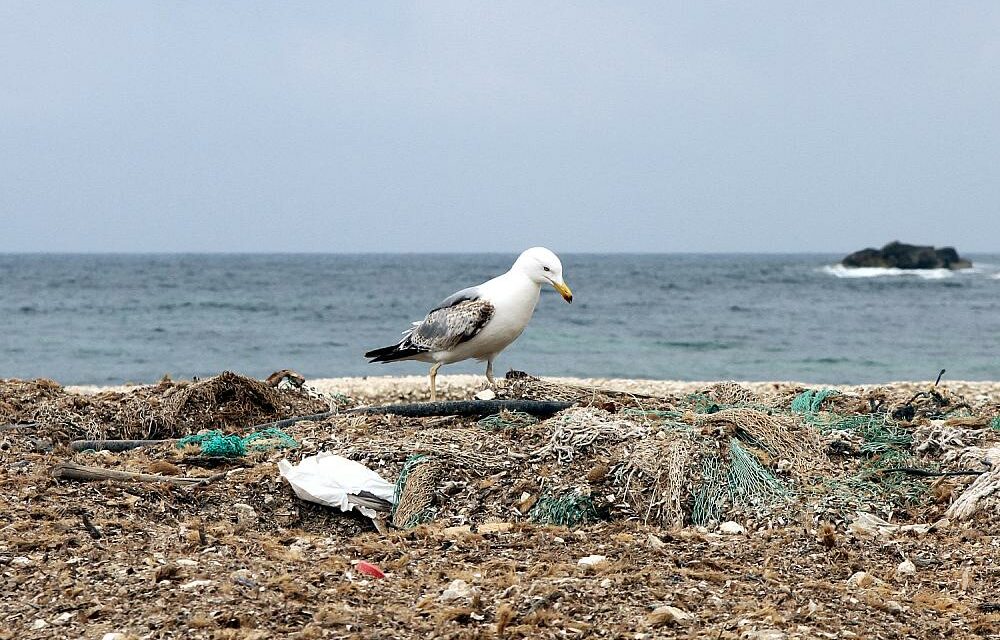 UN-Verhandlungen bieten einzigartige Gelegenheit im Kampf gegen Plastikmüll
