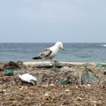 UN-Verhandlungen bieten einzigartige Gelegenheit im Kampf gegen Plastikmüll
