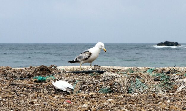 UN-Verhandlungen bieten einzigartige Gelegenheit im Kampf gegen Plastikmüll