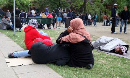 Rückgang der Asylanträge in der EU im Mai 2025