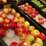 Rekordhafte Apfelernte in Deutschland für 2025 prognostiziert