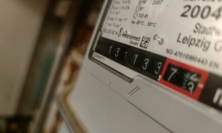 Linke fordert staatliche Regulierung der Strom- und Gaspreise