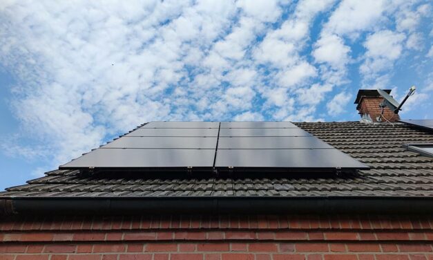 Giegold bemängelt geplantes Ende der Solarförderung