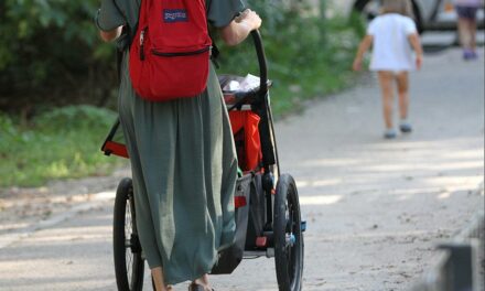 Debatte um Führerscheinentzug für zahlungsunwillige Eltern hält an
