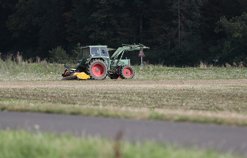 Starker Zuwachs bei Sojabohnen-Anbauflächen in Deutschland