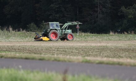 Starker Zuwachs bei Sojabohnen-Anbauflächen in Deutschland