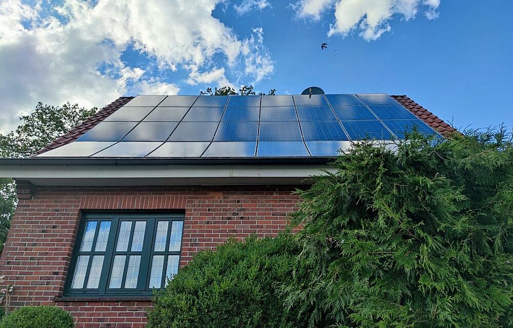 Solarunternehmen befürchten Zunahme an Insolvenzen
