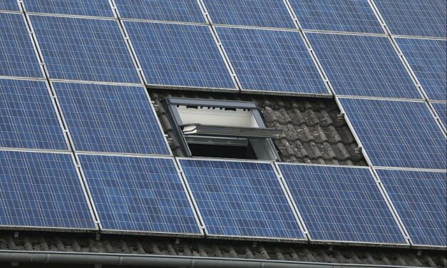 Grüne warnen vor Rückschritten beim Solarausbau wegen drohender Streichung der Einspeisevergütung