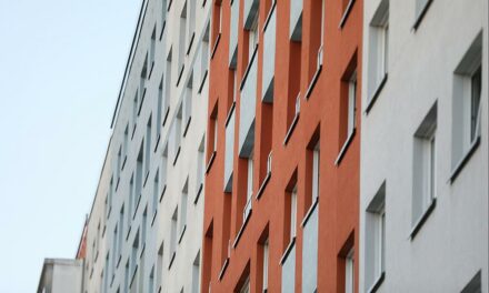 Anstieg der Baugenehmigungen im ersten Halbjahr 2025