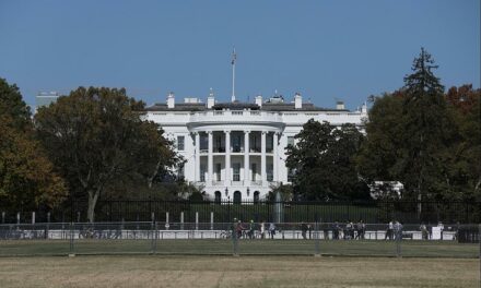 Trump und Selenskyj bemühen sich im Weißen Haus um Einigkeit