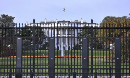 Trump setzt Nationalgarde zur Unterstützung von Polizei in Washington D.C. ein