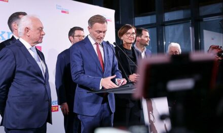 FDP-Analyse deckt Ursachen für Rückschläge auf