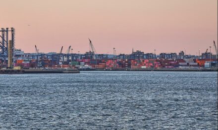 Haseloff fordert Ausnahmen für Schlüsselindustrien bei Klimavorgaben