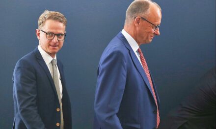 Union behauptet Führung vor AfD im aktuellen Politbarometer