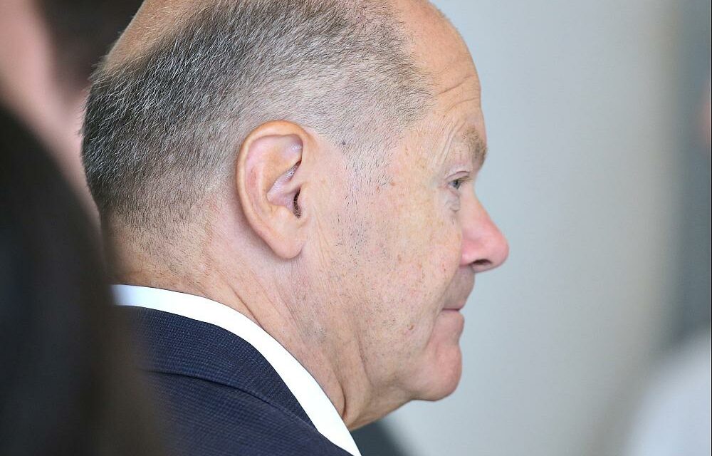 Bundesregierung genehmigte in zweiter Jahreshälfte weitere Raketenwerfer-Exporte an Israel