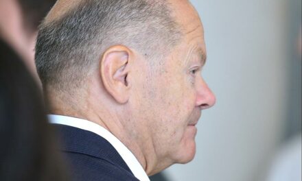 Bundesregierung genehmigte in zweiter Jahreshälfte weitere Raketenwerfer-Exporte an Israel