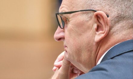Woidke gesteht Versäumnisse im Umgang mit der AfD ein