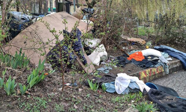 Linke bemängelt mangelnden Einsatz der Bundesregierung bei Verhandlungen zum UN-Plastikabkommen