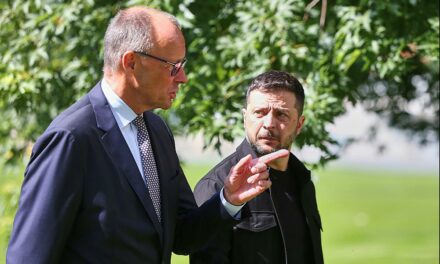 Merz reist gemeinsam mit Selenskyj zu Gesprächen nach Washington